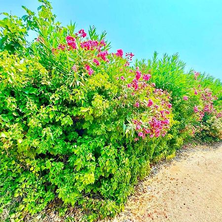 Tetraktys Estate Beachside Υδωρ Agios Matthaios  Ngoại thất bức ảnh
