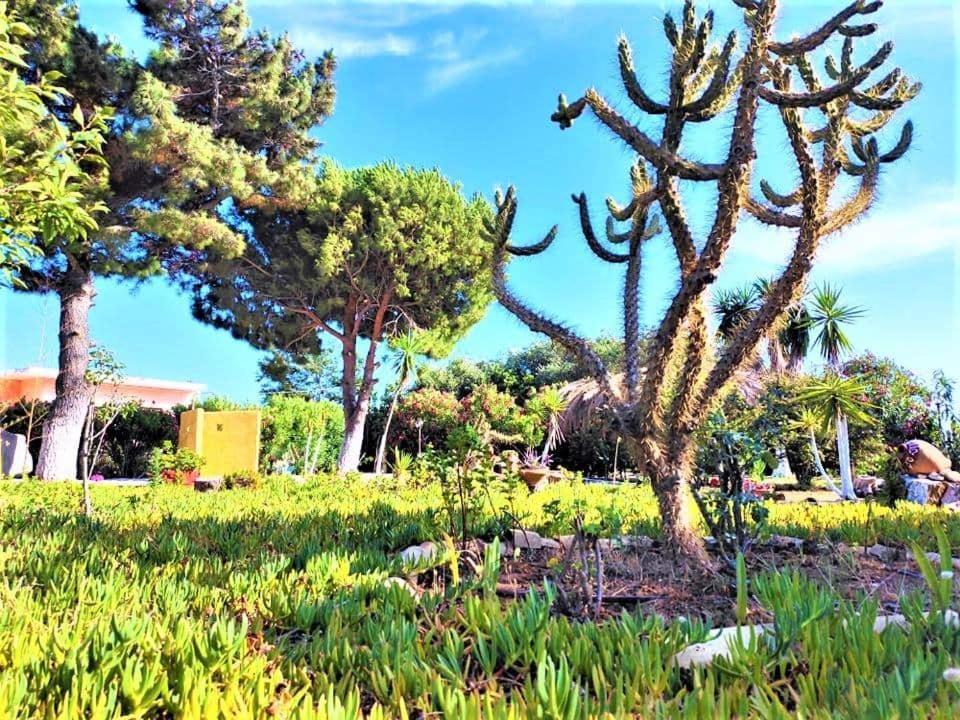 Tetraktys Estate Beachside Υδωρ Agios Matthaios  Ngoại thất bức ảnh