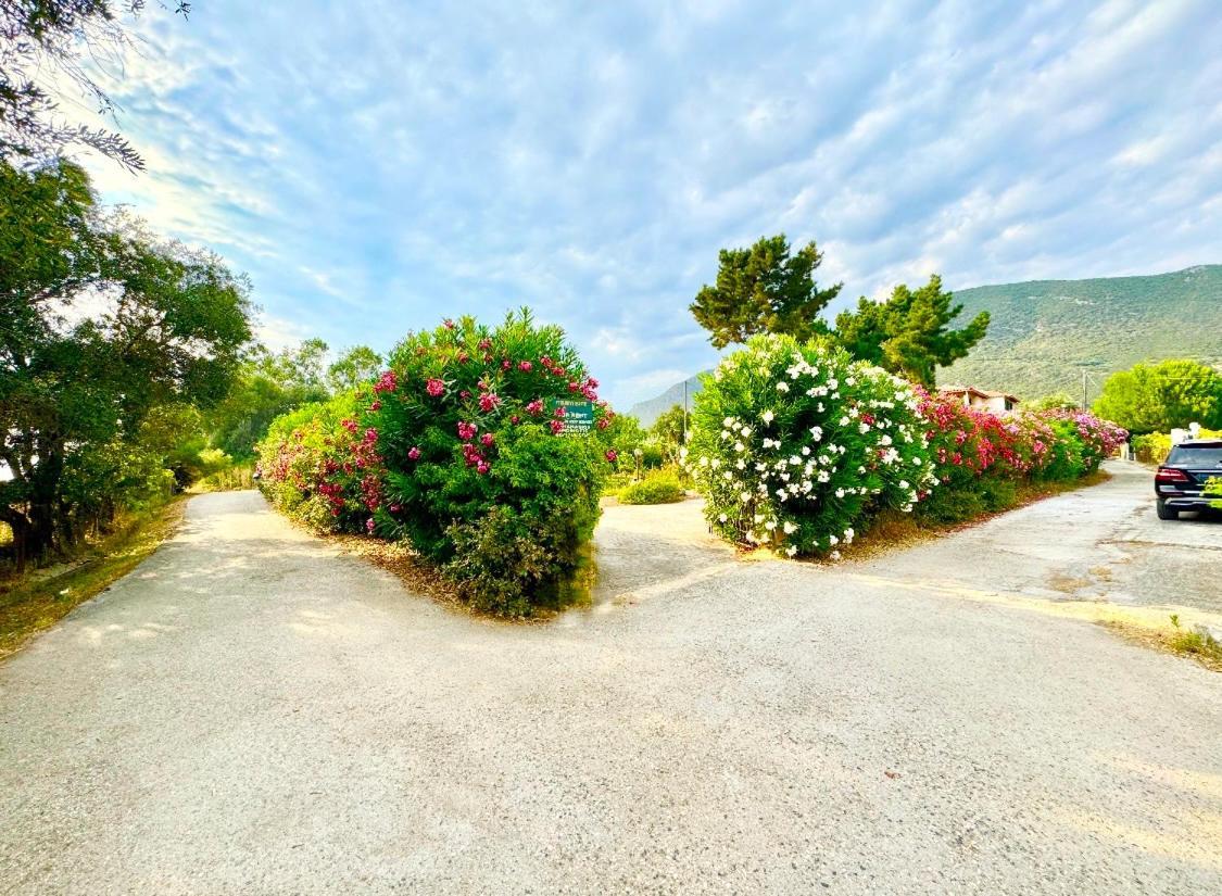 Tetraktys Estate Beachside Υδωρ Agios Matthaios  Ngoại thất bức ảnh
