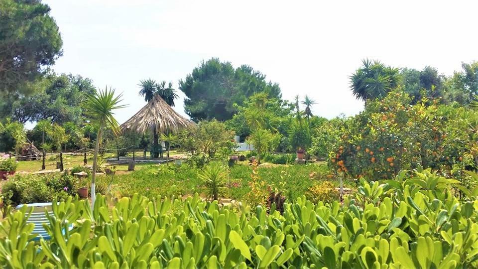 Tetraktys Estate Beachside Υδωρ Agios Matthaios  Ngoại thất bức ảnh